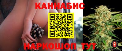 индика Гусь-Хрустальный