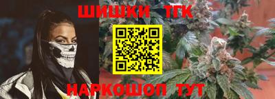 индика Гусь-Хрустальный