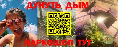 индика Гусь-Хрустальный