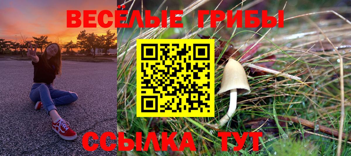 Галлюциногенные грибы Magic Shrooms Шелехов
